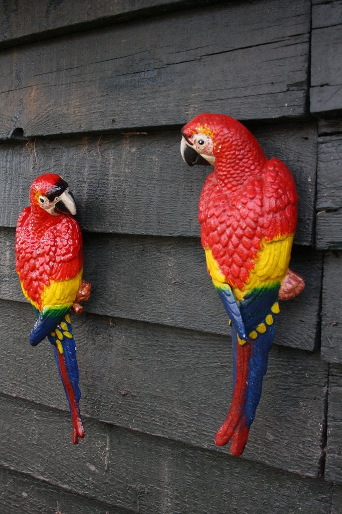 雕刻, "COUPLE RED PARROTS" - 35 cm - 鑄鐵 #1.0