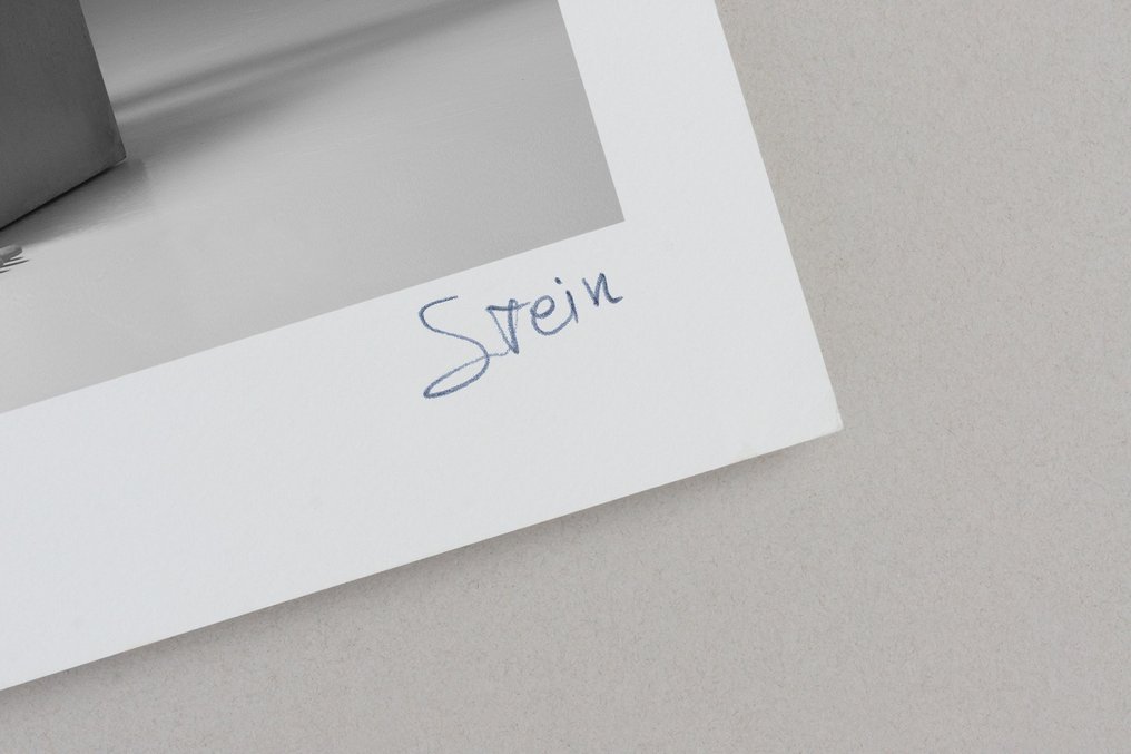 Vadim Stein (1967) - 'Agile Beauty' (2020) #4.3