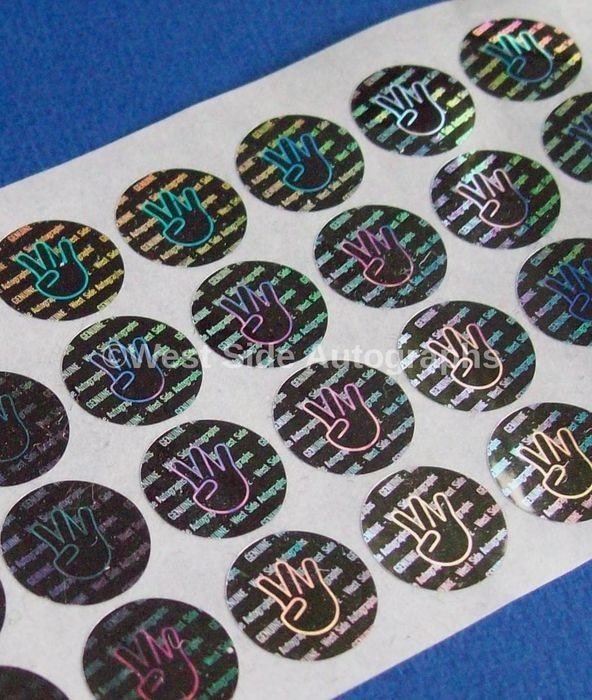 Cobra Kai - Ralph Macchio (Daniel LaRusso) Premium Framed, signed, + COA #4.3