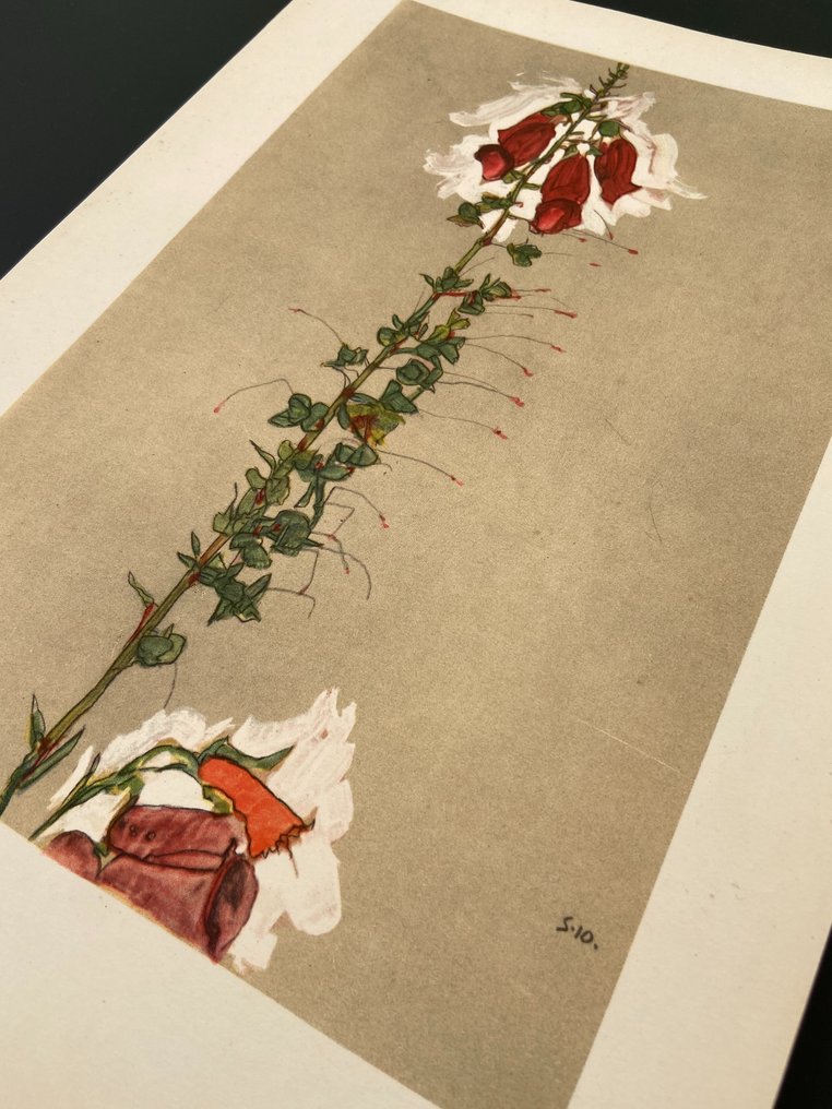 Egon Schiele (1890-1918), after - Roter Fingerhut #4.3