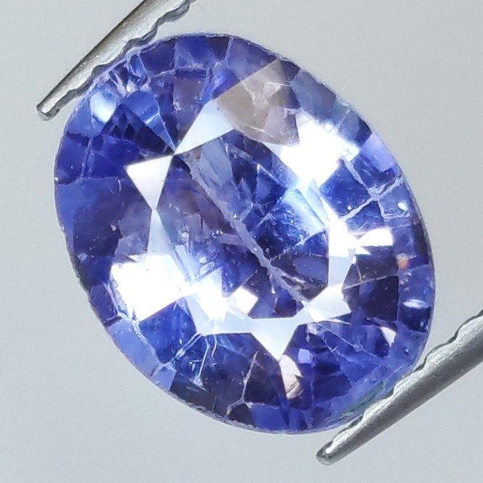 1 pcs  Blå Safir  - 1.84 ct - Antwerp Laboratory for Gemstone Testing (ALGT) #1.0