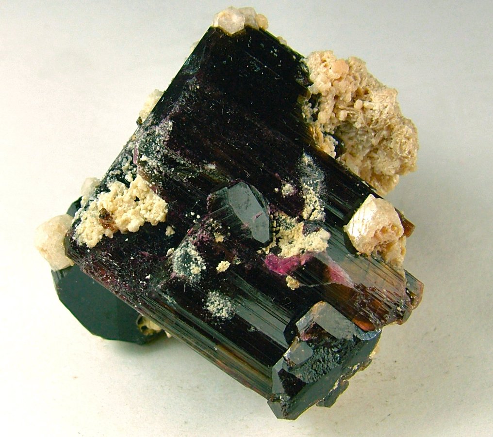 CW0254 Rare and extraordinary association of Fluorliddicoatite with Schorlite and Fenacite Crystal cluster - Height: 29 mm - Width: 38 mm- 37 g - (1) #3.2