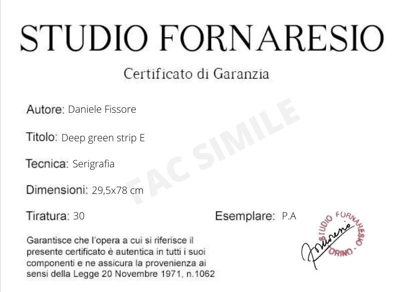 Daniele Fissore (1947) - Deep Green Strip E #4.3