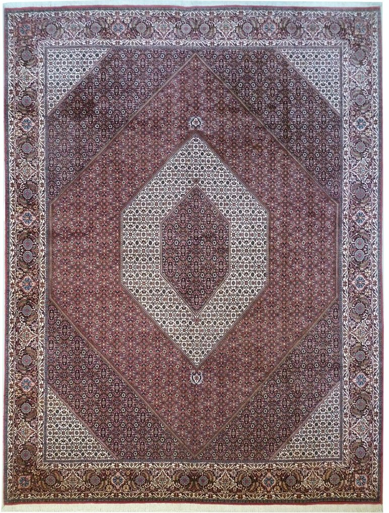 比賈爾·特卡布 - 地毯 - 398 cm - 297 cm #1.1