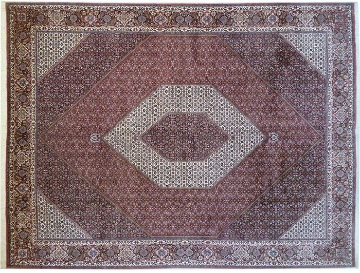 比賈爾·特卡布 - 地毯 - 398 cm - 297 cm #1.3
