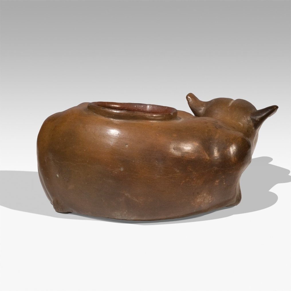 墨西哥特奧蒂瓦坎 Terracotta 小型雕刻容器狗。西元前 150 年 - 西元 600 年。 13 公分長。擁有西班牙出口許可證。 #2.1