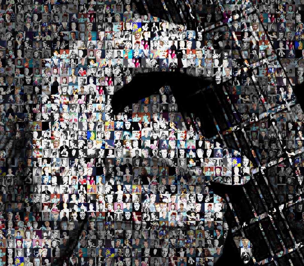 David Law - Crypto Bowie III XL #4.3