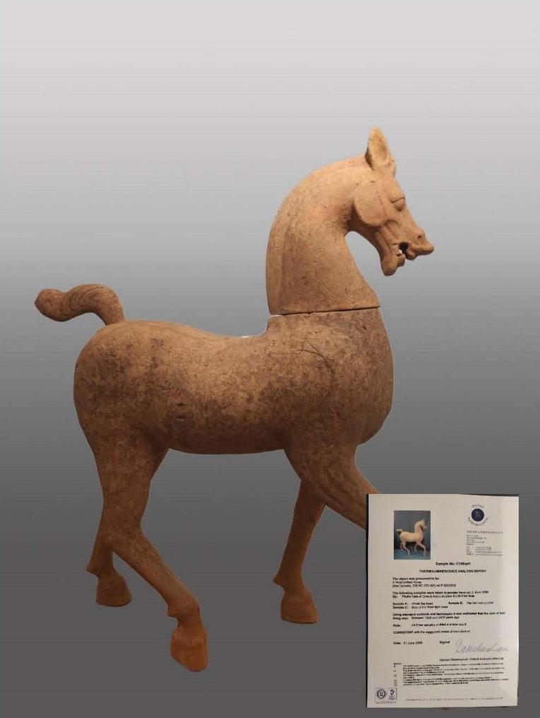 Starożytne Chiny, Dynastia Han Terakota Starożytni Chińczycy, gigantyczny koń z terakoty z dynastii Han - Syczuan.. Testowany TL. - - 100 cm #2.1