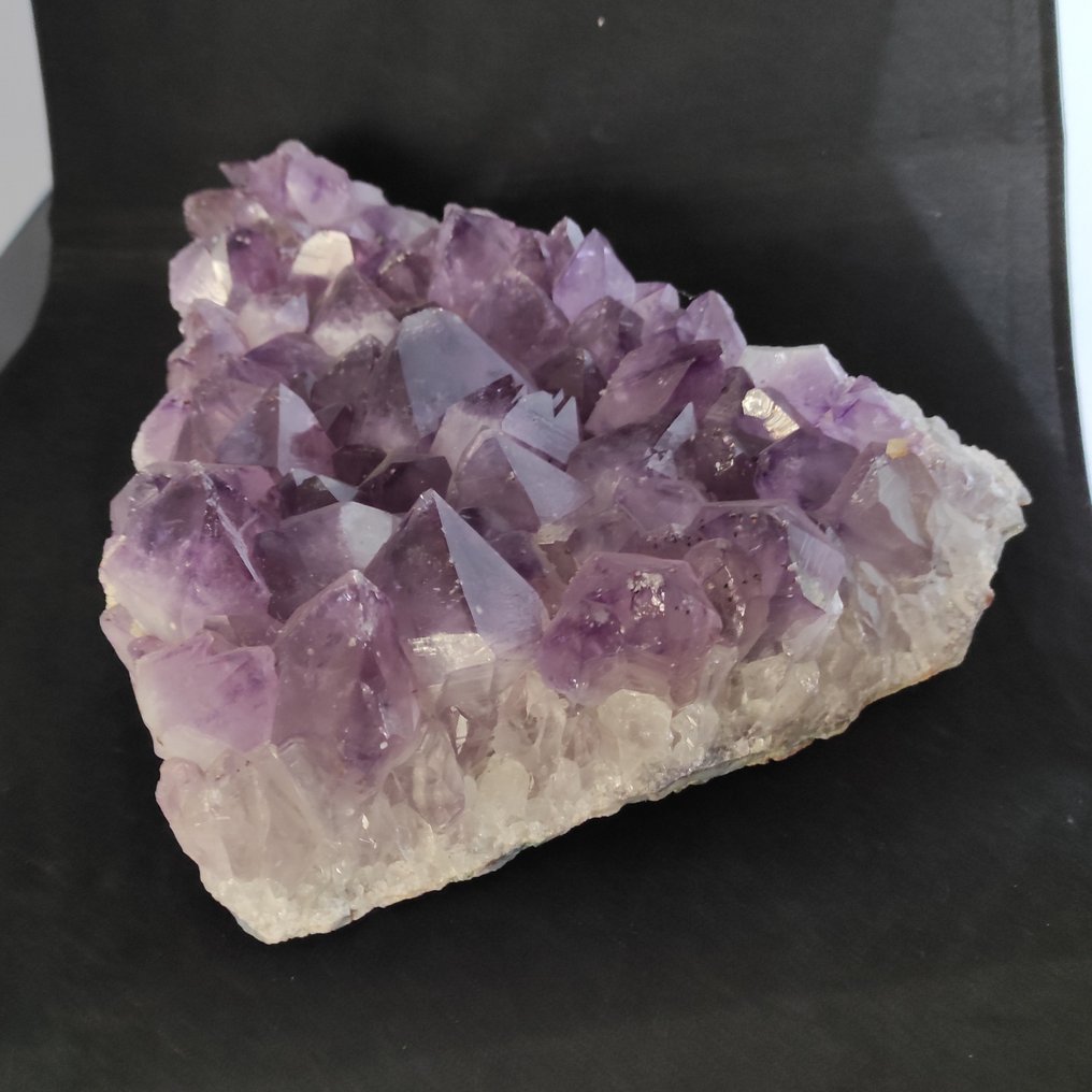 Amethyst Drusa - Height: 11 cm - Width: 31 cm- 6500 g #4.3
