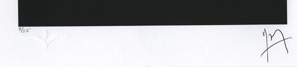 Trevor E R Yerbury  FRPS - The Staircase - Paris #4.3