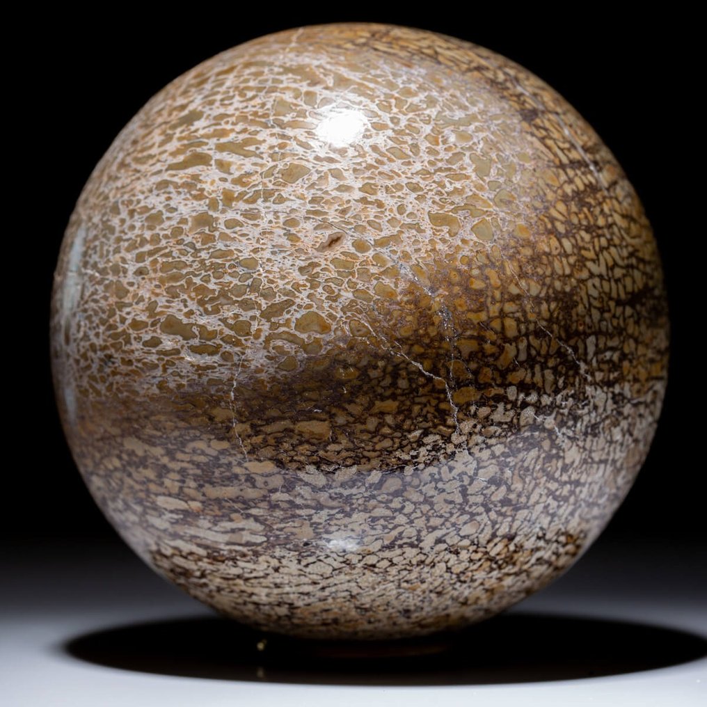 Sphere carving, x - 105 mm - Large Sphere in Dinosaur Bone - Atlasaurus - JURASSIC #2.1