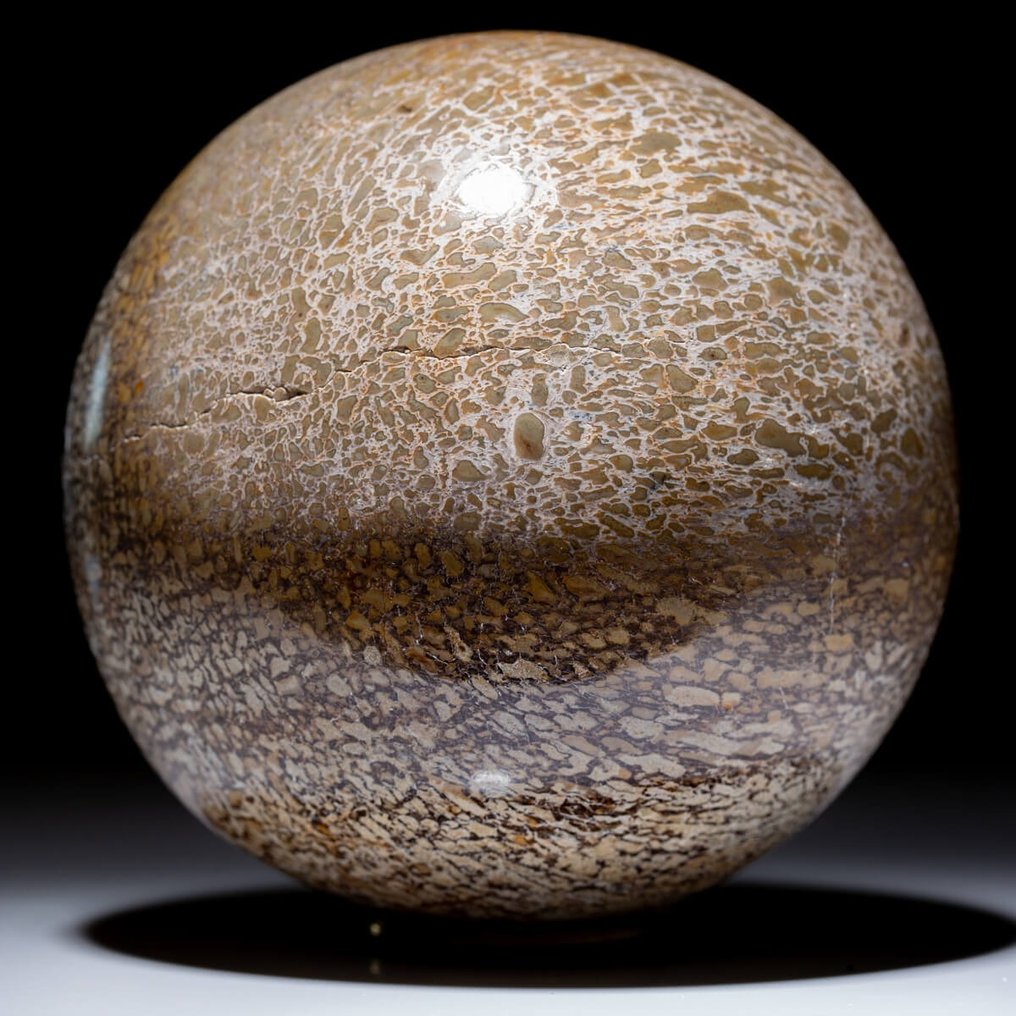 Esfera tallada, x - 105 mm - Esfera grande en hueso de dinosaurio - Atlasaurus - JURASSIC #1.2