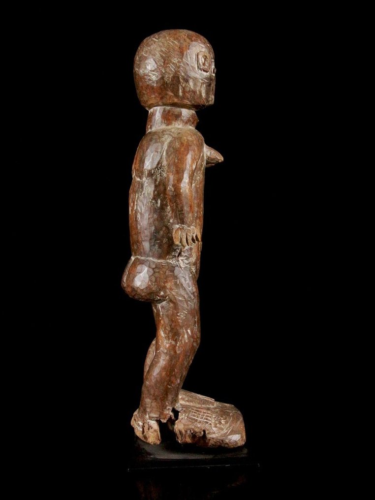 Tuxedo EWE - Norsunluurannikko #3.2