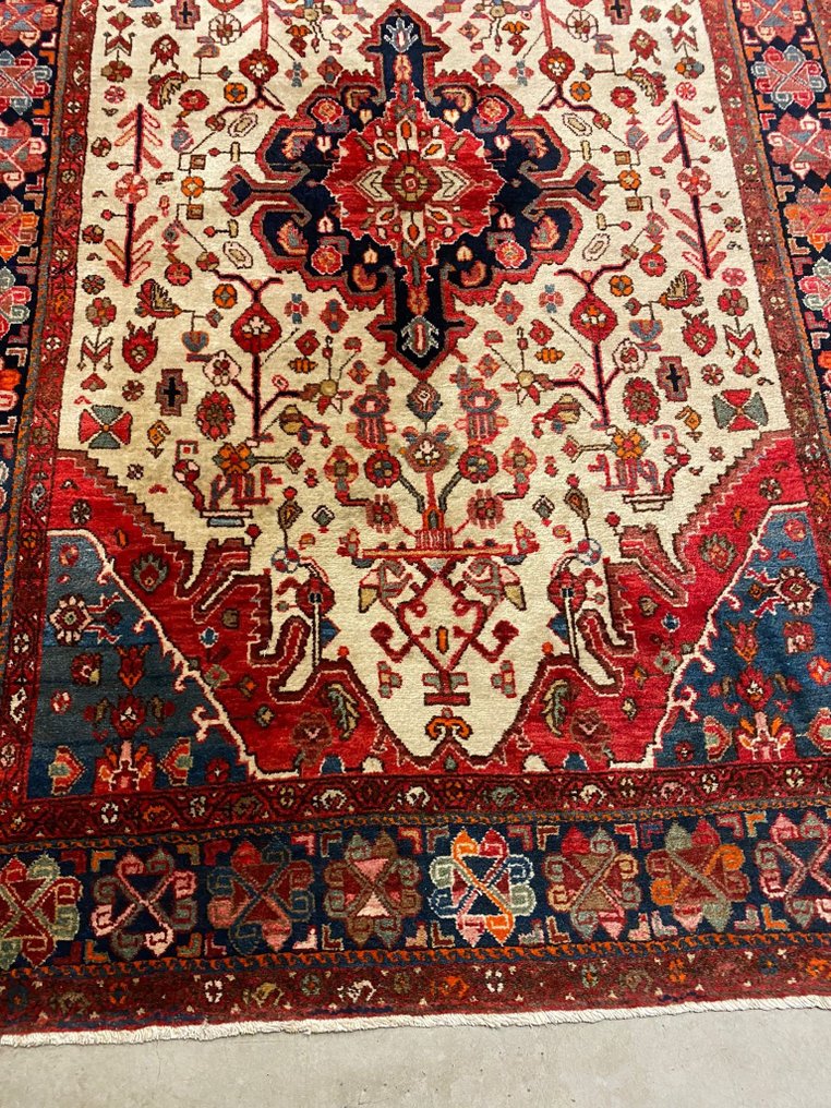 Carpete - 215 cm - 137 cm #1.2