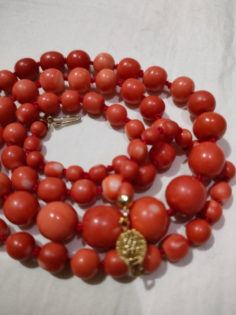Necklace Blood Coral #2.1