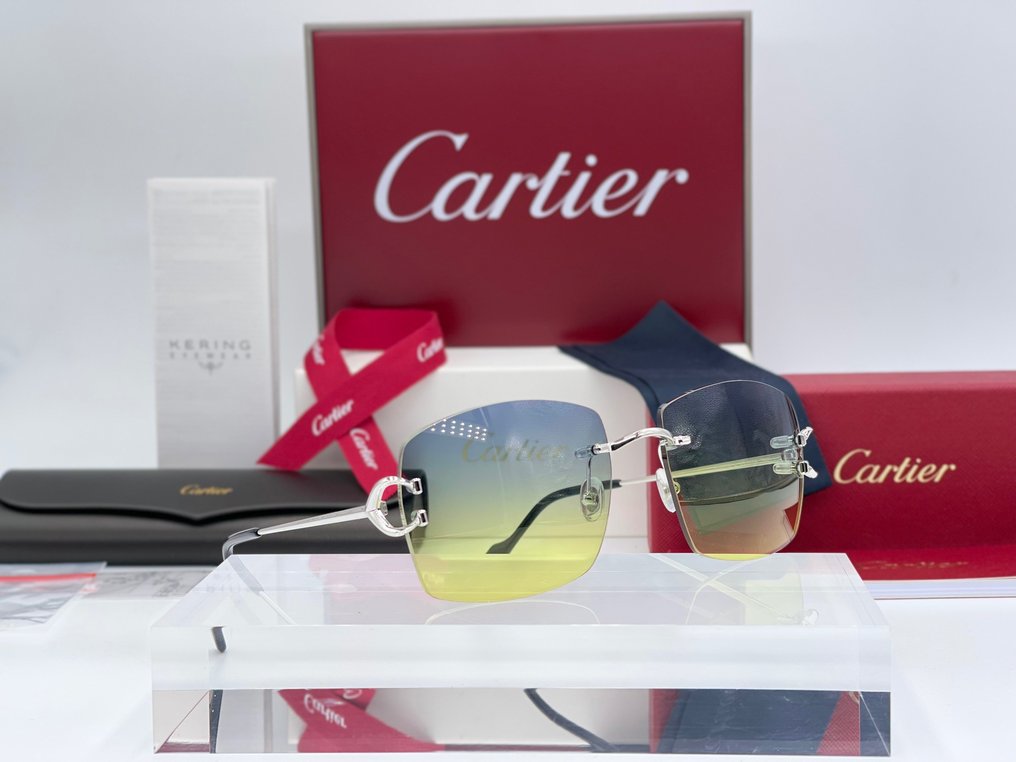 Cartier - New Piccadilly Silver Gold Planted 18k (No Customs Duties) - Óculos de sol Dior #2.1