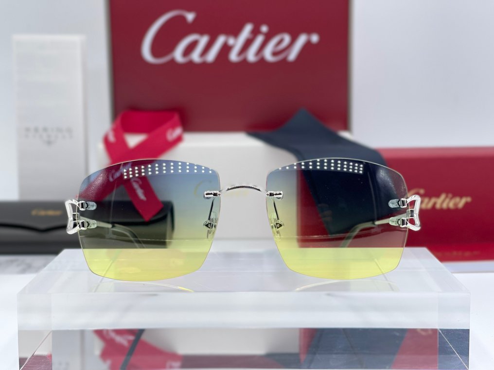 Cartier - New Piccadilly Silver Gold Planted 18k (No Customs Duties) - Sunglasses #2.1