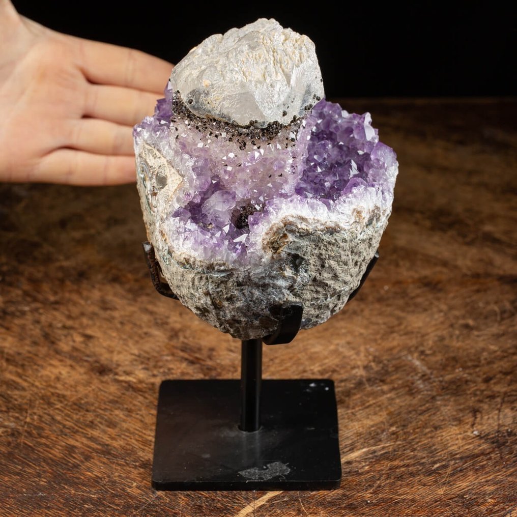 Premium jakość ametystu z kalcytem i cacoxenitem - Druzy on Base - Wysokość: 190 mm - Szerokość: 125 mm- 2120 g #1.0