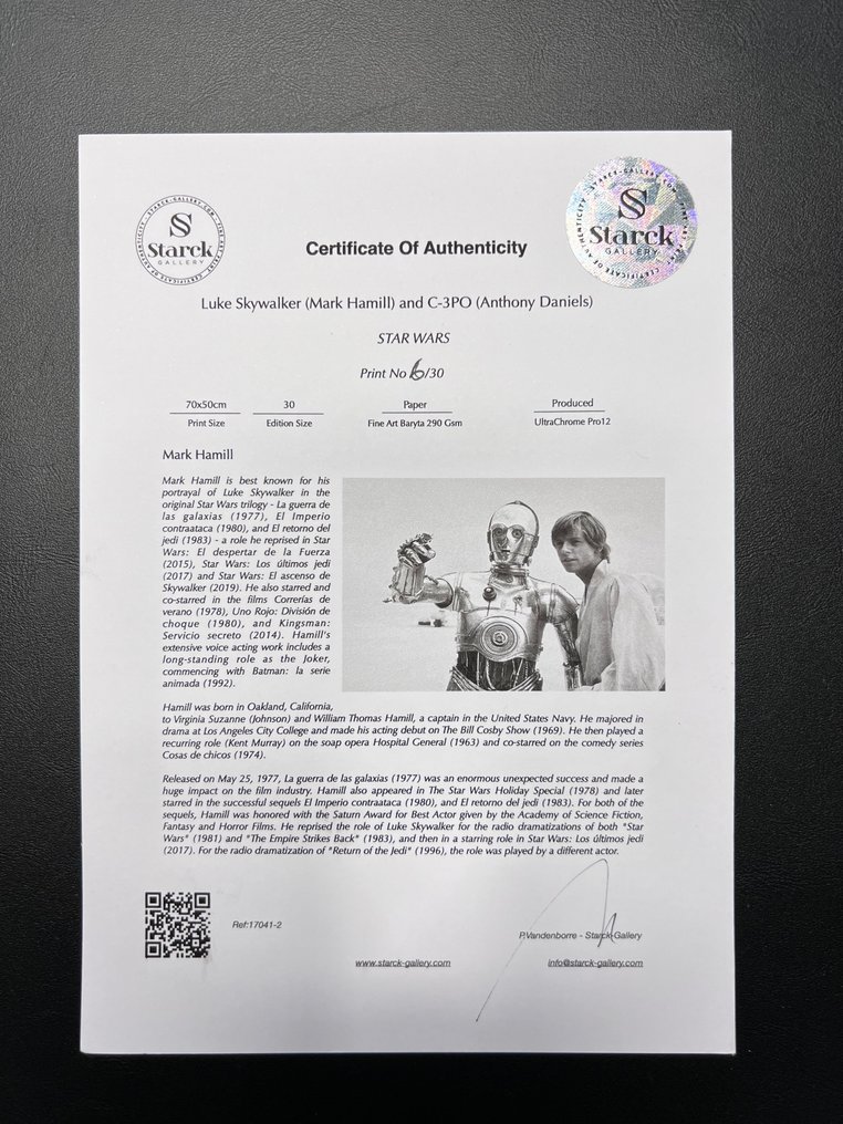 Star Wars - Luke Skywalker (Mark Hamill) and C-3PO (Anthony Daniels) - Fine Art Photography - Luxury Wooden Framed 70X50 cm - Limited Edition Nr 01 of 30 - Serial ID 17041 - Original Certificate (COA), Hologram - 100% New. Shipping Reduction from 3 items #1.0
