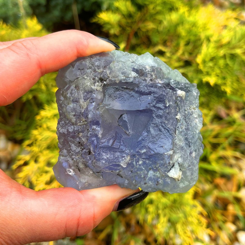 EXTREMELY RARE! XXL Violet FLUORITE Collector's Crystal Crystal - Height: 8 cm - Width: 8 cm- 596 g #4.3