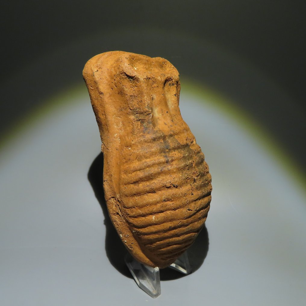 4:e - 1:a århundradet f.Kr Terrakotta Votiv modell av en livmoder. 4:e - 1:a århundradet f.Kr. 13,5 cm L. Mycket sällsynt! Intakt. #1.2