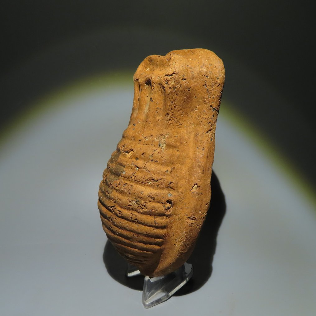4. - 1. århundrede f.Kr Terrakotta Votiv model af en livmoder. 4. - 1. århundrede f.Kr. 13,5 cm L. Meget sjælden! Intakt. #2.1