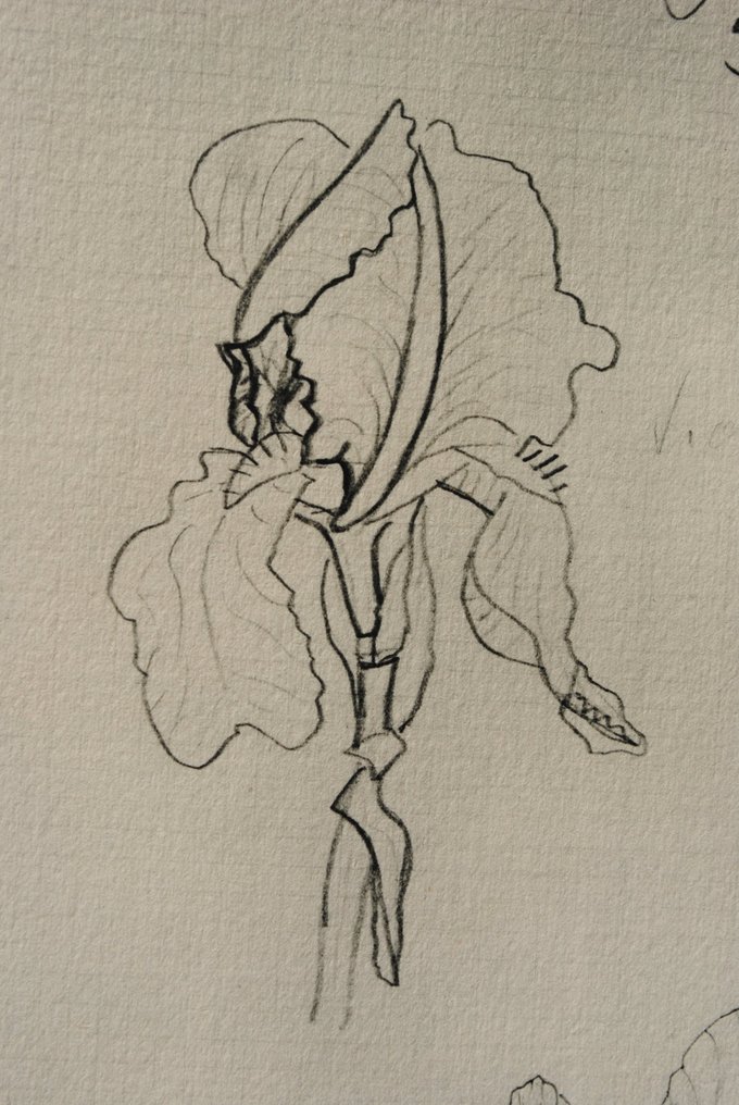 Georges Braque (1882-1963) - Les Iris #3.2