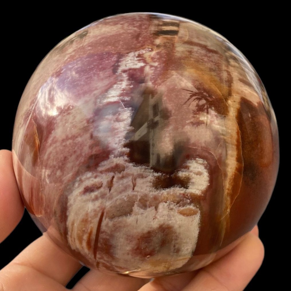 木化石球體 - “第一選擇” - 優質雕刻木球 - 高度: 108 mm - 闊度: 108 mm- 1637 g #1.2