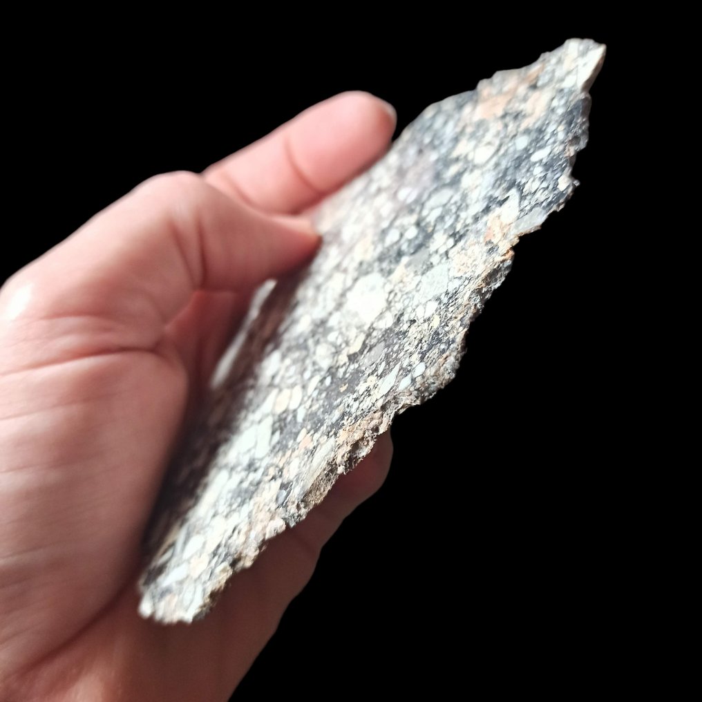 XXL MUSEUM Authentic Moon Meteorite Slice. NWA 15583 (Algeria, 2022). - 54.8 g #4.3