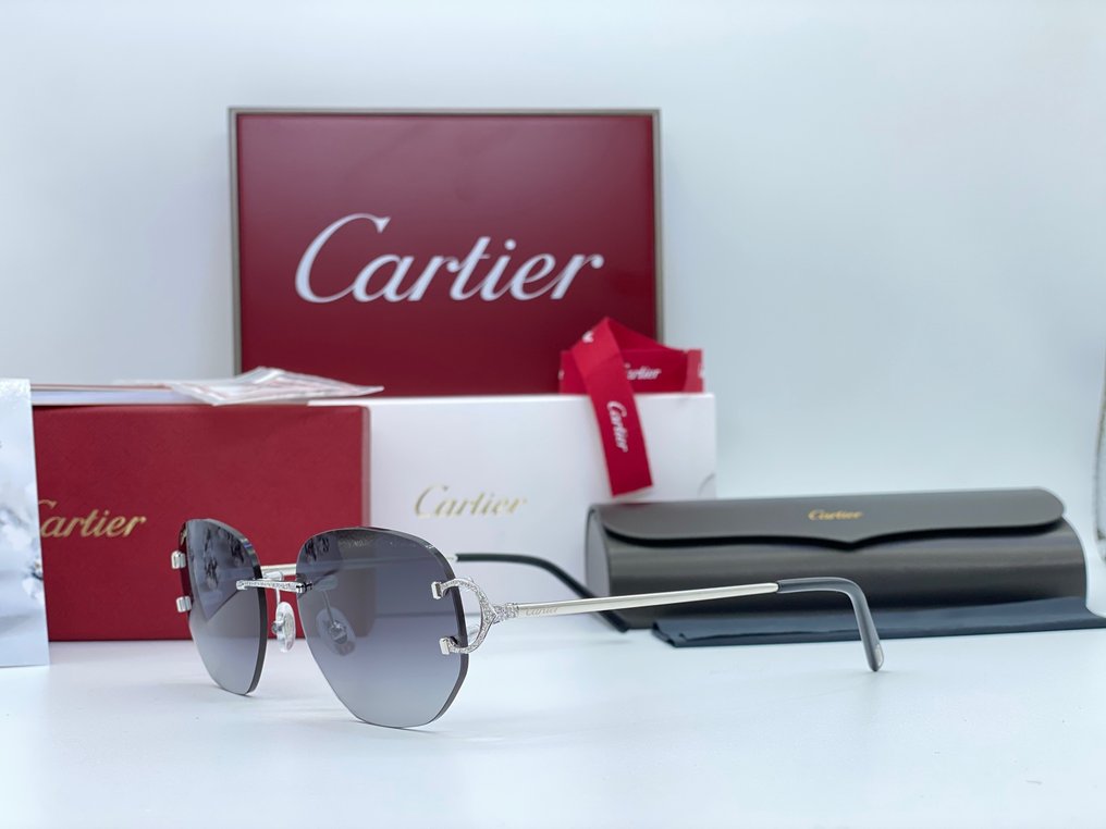Cartier - Piccadilly Silver Diamond (No Customs Duties) - Γυαλιά ηλίου #3.1