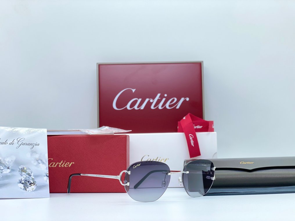 Cartier - Piccadilly Silver Diamond (No Customs Duties) - Γυαλιά ηλίου #2.1