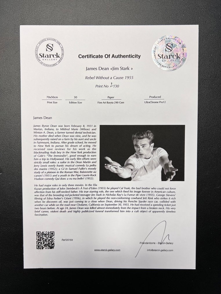 Rebel Without a Cause 1955 - James Dean «Jim Stark » - Fine Art Photography - Luxury Wooden Frame 70X50 cm - Limited Edition 01 of 30 - Serial 20164 - Original Certificate (COA), Hologram - 100% New. Shipping Reduction from 3 items #1.0
