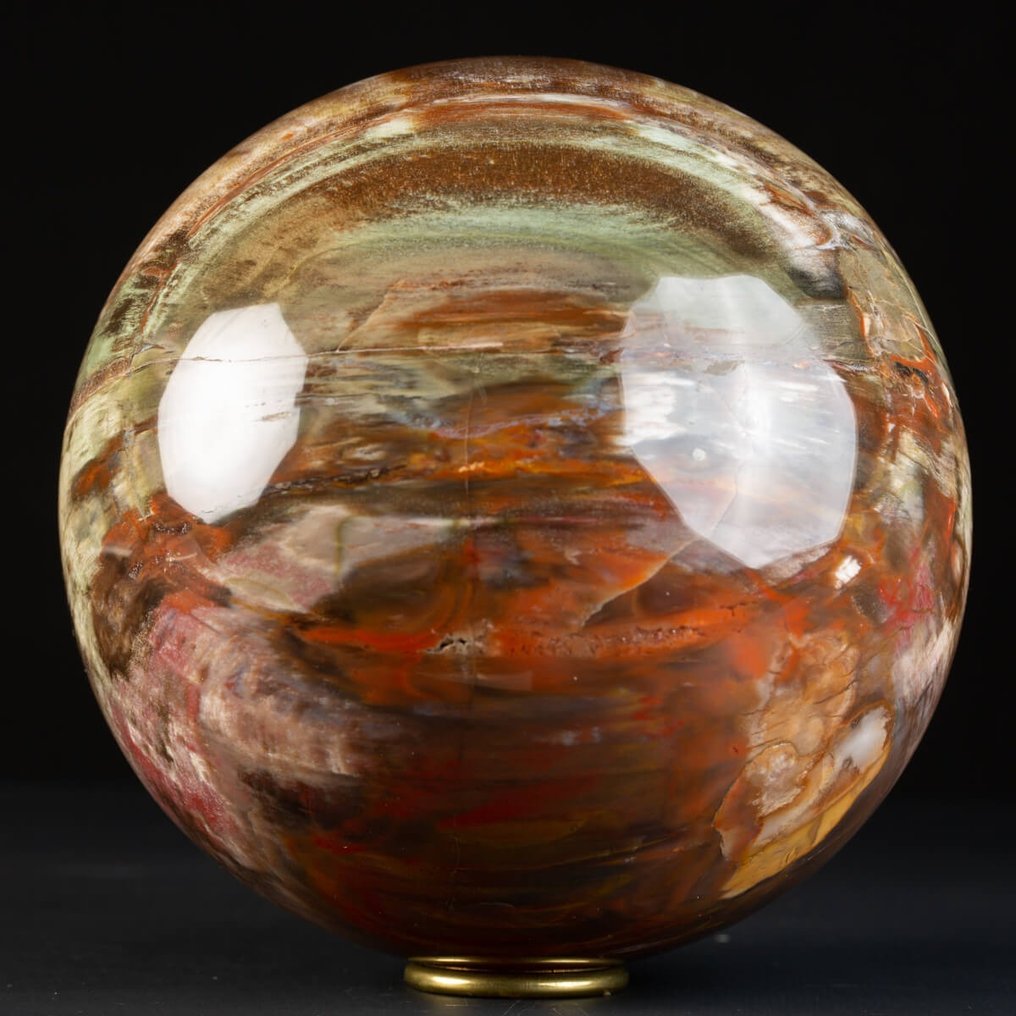 Esfera de madeira petrificada de qualidade premium - Madeira fossilizada - Araucaria (Conifera) - 15 cm #2.1