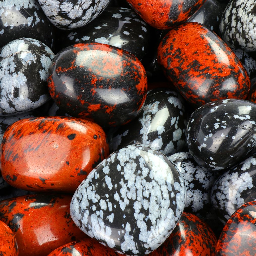 Χωρίς αποθεματικό - Ποιότητας AAA - Κόκκινο & Μαύρο Όβιδιον. Χονδρική παρτίδα- 2 kg #1.0