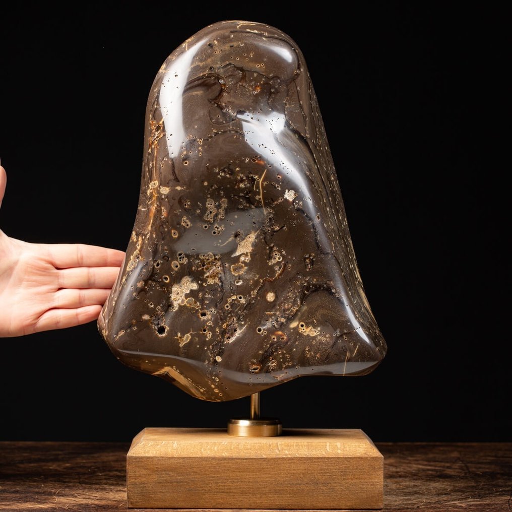 Ambra di Sumatra - Κεχριμπάρι - Bigger Fossil Amber #1.0