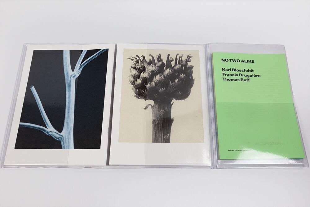 Signed; Thomas Ruff / Karl Blossfeldt & Francis Bruguière - No Two ...