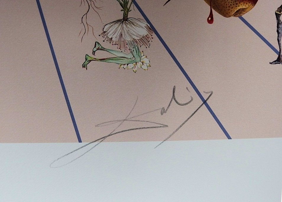 Salvador Dali (1904-1989) - Flordali II : La rose papillon #2.1