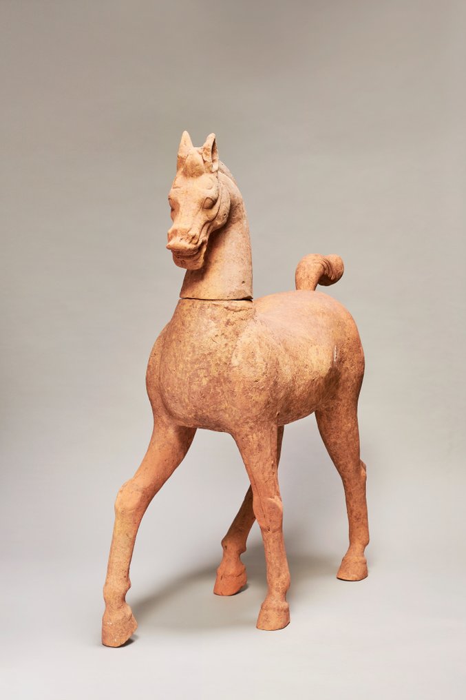 Starożytne Chiny, Dynastia Han Terakota Starożytni Chińczycy, gigantyczny koń z terakoty z dynastii Han - Syczuan.. Testowany TL. - - 100 cm #1.1