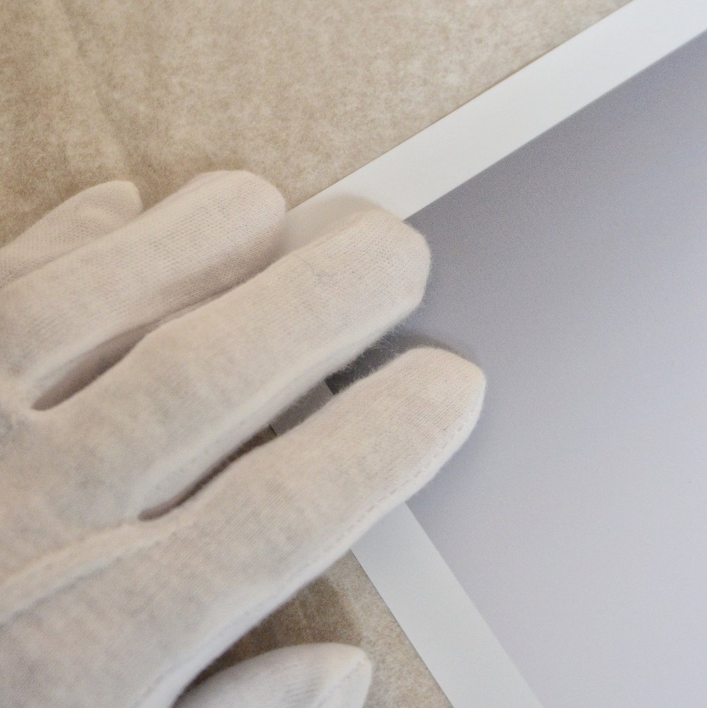 Wiepke Folkerts - DOW Industrial Landscape #4 #4.3