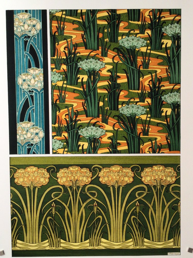 Maurice Pillard-Verneuil - Butomes en ombelle Art nouveau "La plante et ses applications ornementales" (50 x 70 cm) #1.1