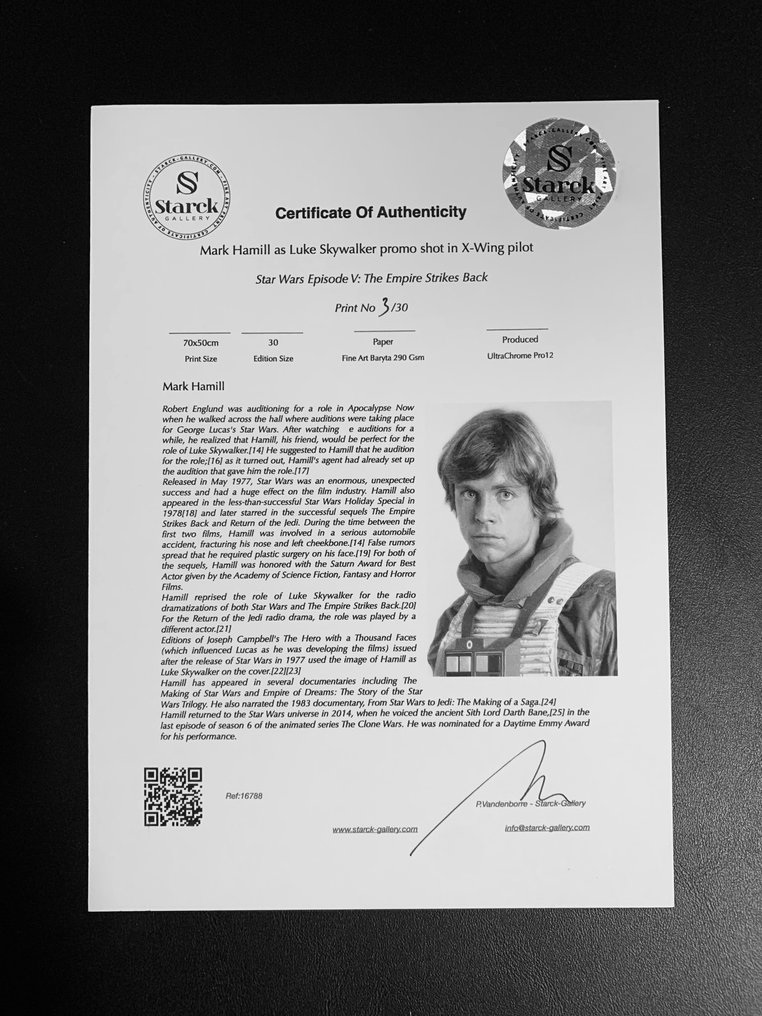 Star Wars Episode V: The Empire Strikes Back, Mark Hamill as Luke Skywalker - Fine Art Photography - Luxury Wooden Framed 70X50 cm - Limited Edition Nr 01 of 30 - Serial ID 16675 - Original Certificate (COA), Hologram - 100% New. Shipping Reduction from 3 items #1.0