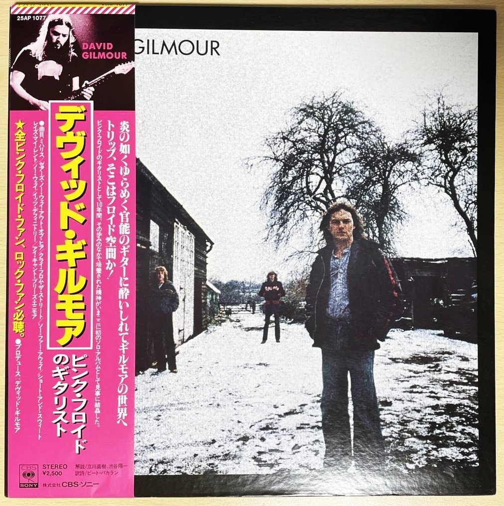 David Gilmour - David Gilmour / First "Must-Have "! From The One Of The Greatest Guitarists Of All Time - LP - Japanische Pressung - 1978 #1.0