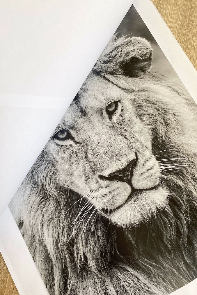 Marco Simoni - "The beauty is the beast" #1.0