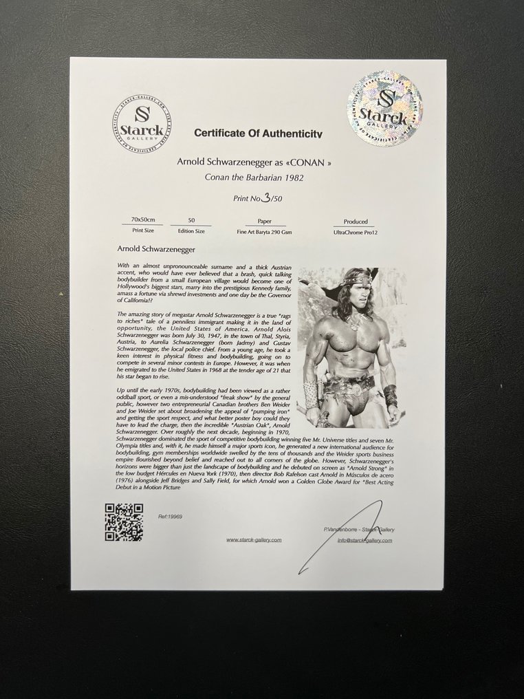 Conan the Barbarian, Arnold Schwarzenegger - Fine Art Photography - Luxury Wooden Framed 70X50 cm - Limited Edition Nr 01 of 30 - Serial ID 19969 - Original Certificate (COA), Hologram - 100% New. Shipping Reduction from 3 items #1.0