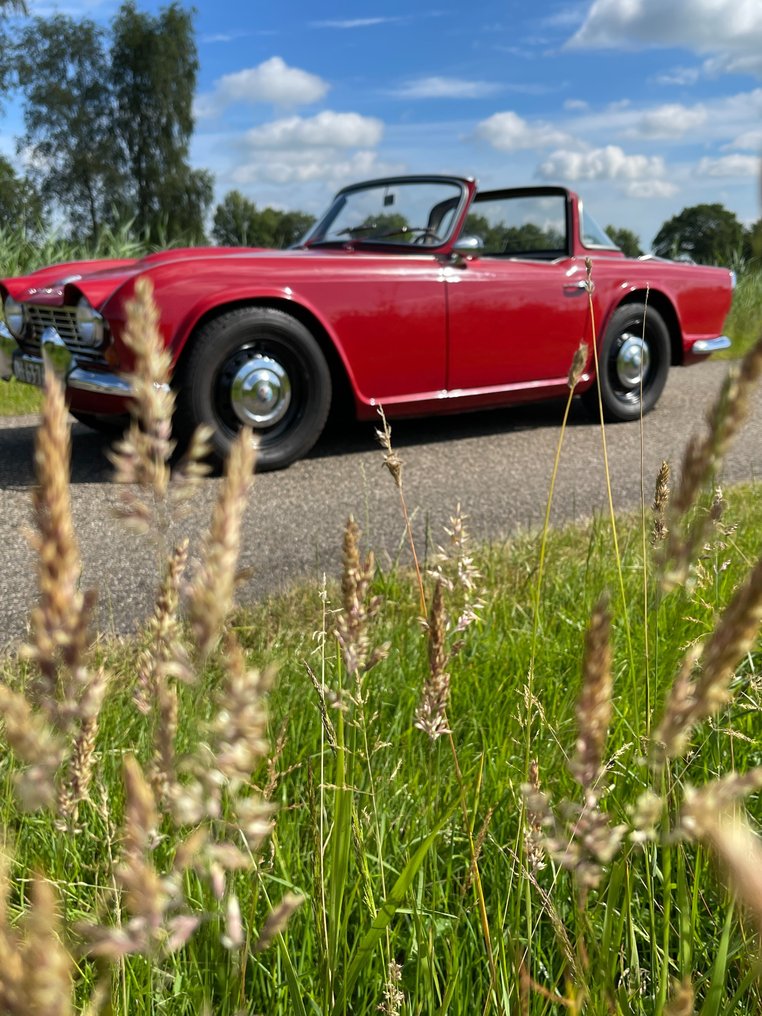 Triumph - TR4 Roadster | Surrey top - 1964 #2.2