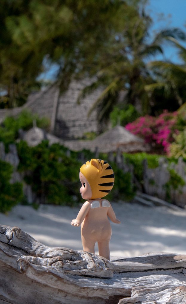 David Law - Captain Cook #4.3