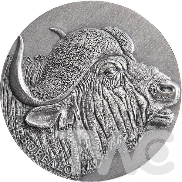 Camerun. 2000 Francs 2022 - Buffalo Expressions of Wildlife Antique finish Silver Coin - 2 oz, (.999) #1.0