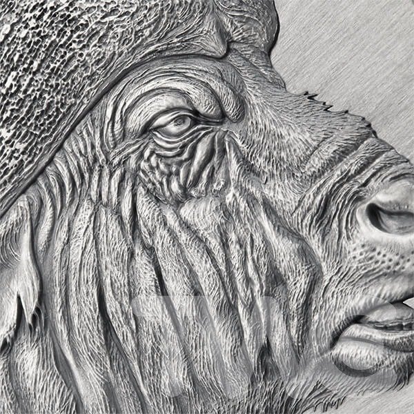 Camerun. 2000 Francs 2022 - Buffalo Expressions of Wildlife Antique finish Silver Coin - 2 oz, (.999) #4.3