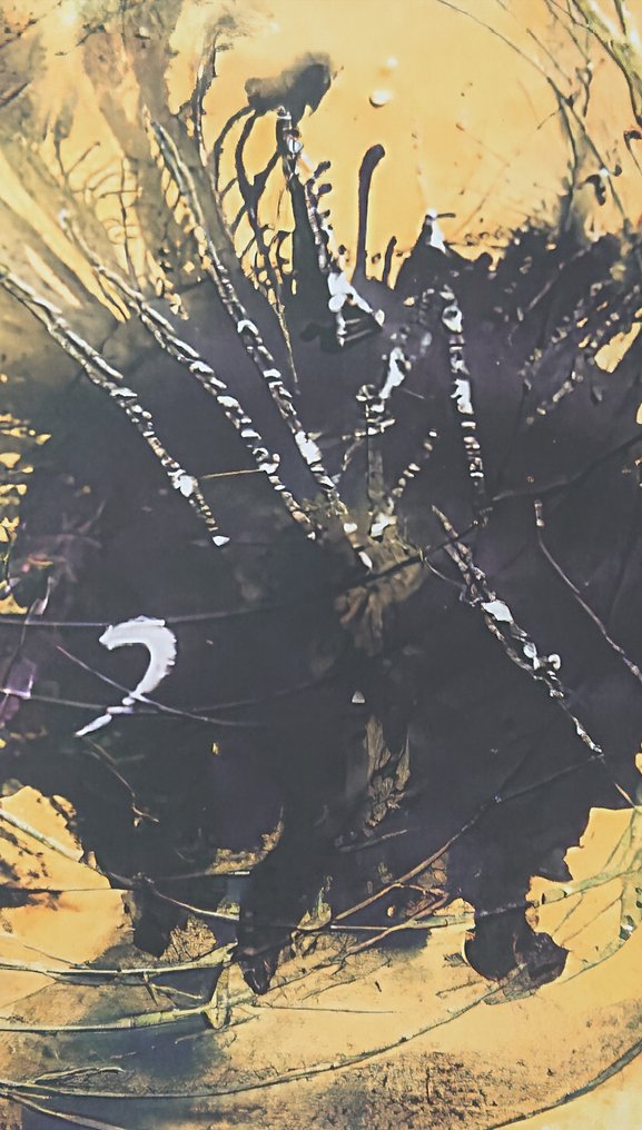 after Miquel Barceló - Corrida de Toros Granada 2019 #2.1