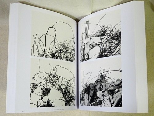 Mario Giacomelli - Rétrospective - 2014 #4.3